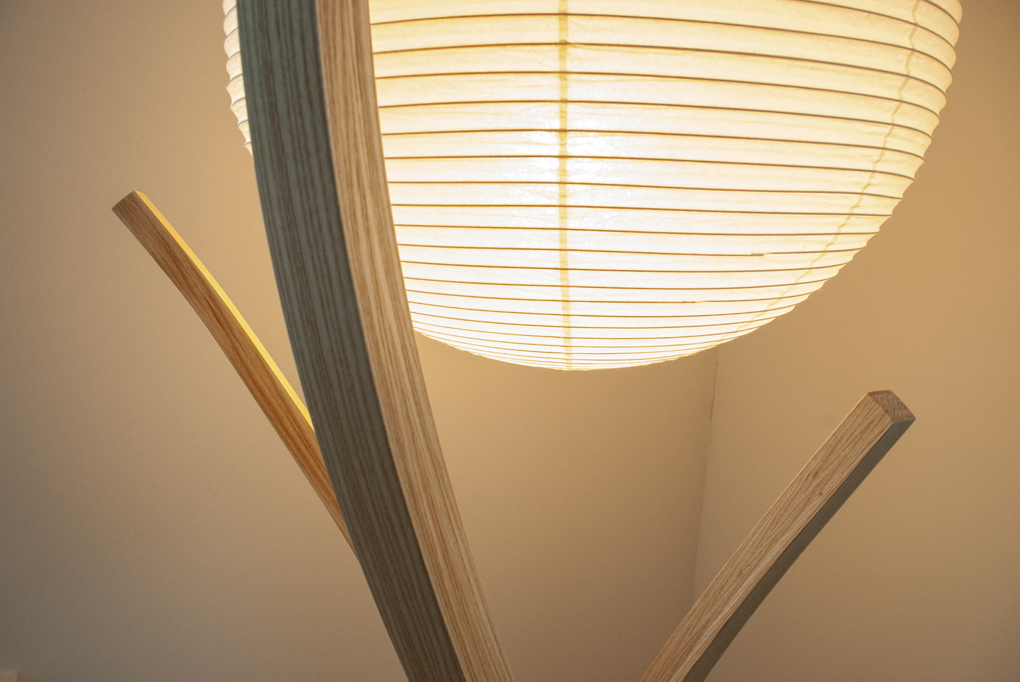 Bent Lamination Floor Lamp
